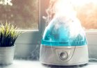 Как выбрать правильный увлажнитель воздуха для вашего дома: советы и рекомендации.