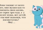 Смешно о Кошках