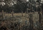 Рассказ про кладбище, которое в нашей деревне считают проклятым