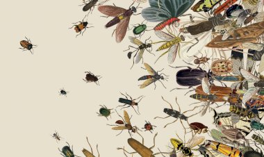 Как насекомые влияют на экосистему и почему их сохранение является важной задачей для всего человечества.