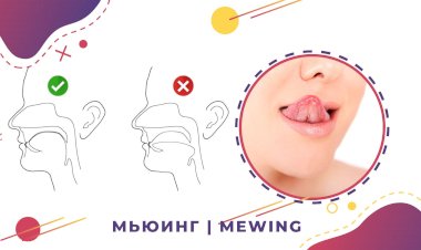 Как положение языка влияет на овал лица и состояние шеи