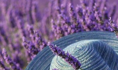 Как правильно хранить пряжу в домашних условиях