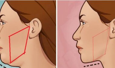 Жевательная мышца - что это такое и как она влияет на здоровье зубов и молодость лица