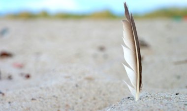 Отдых в России,  куда можно поехать летом не выезжая за пределы страны и можно ли найти альтернативные варианты