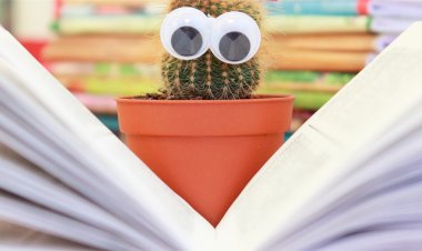 Интересные идеи обнаружила на страницах журнала времён СССР. Часть I