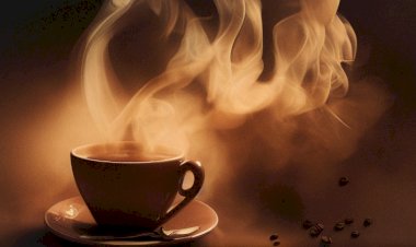 Батарейки для организма