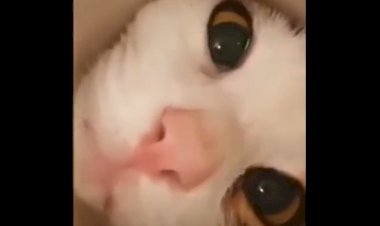 Незнакомый мир