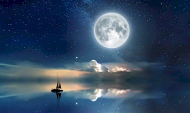 Совместимость Козерог Весы