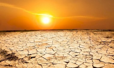 Почему в конце XII – начале XIII веке египтяне бежали из своей страны? Что стало причиной?