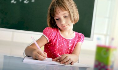 Какую ручку выбрать для школьника, чтобы он учился хорошо и с удовольствием