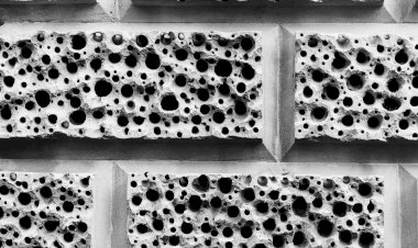 Что такое трипофобия? Проверьте есть ли у  вас такое