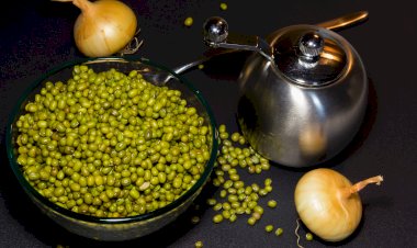 Маленькие зелёные бобы, глянцевые, как бусины. В мешке торговца они выглядели непривычно