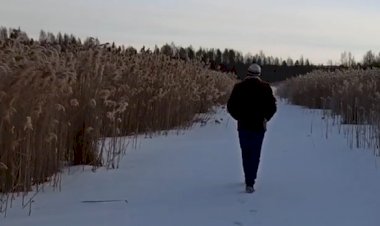 Вот такая весна ...