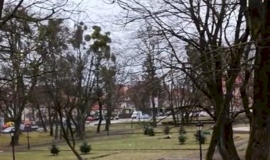 Замерла или оживает? Все тонкости марта