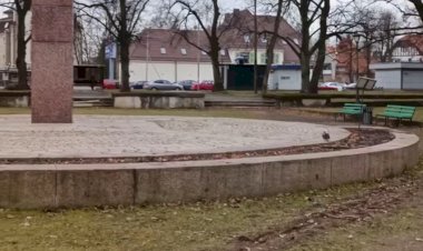 По пустынным аллеям Калининграда