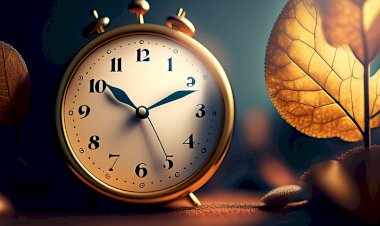 Развитие личности: ключ к личному и профессиональному успеху