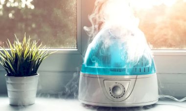 Как выбрать правильный увлажнитель воздуха для вашего дома: советы и рекомендации.