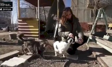 Как выживал Мариупольский заоопарк во время бомбежек и вообще все люди и брошенные мурки и бобики