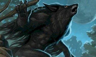 Оборотень из Оверни. Что произошло в 1580 году в одном французском графстве?