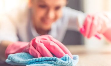 Как убрать из дома пыль и аллергены?