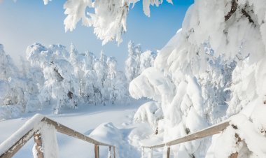 Весна пришла)