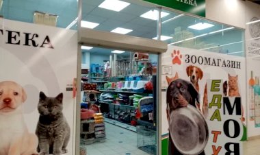 "Идите в человеческую" – почему сотрудник зоомагазина не может рекомендовать людям использовать товары из ветаптеки для себя