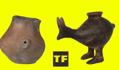 Уже в эпоху неолита младенцев кормили из бутылочки. Какой она была тогда?