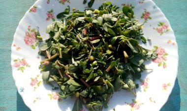 Салат из крымских сорняков "Отбери у коровы". Рецепт – дарю!