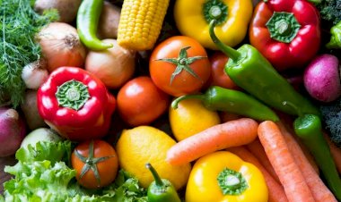 Российские знаменитости, ставшие вегетарианцами