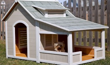Какой должна быть собачья будка – дельные советы
