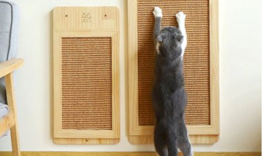 Нужна ли кошке когтеточка, и как ее к ней приучить. Можно ли отучить кошку точить когти совсем