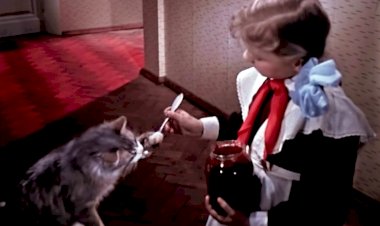 Котики в кино: злодеи или моралисты?