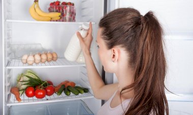 Почему в холодильнике появляется неприятный запах и как от него избавиться