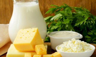 Как организм дает сигналы при скрытой непереносимости молочных продуктов