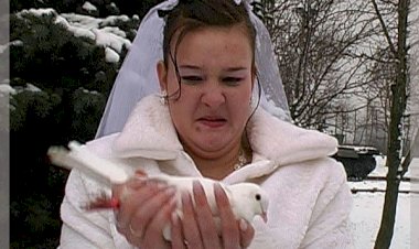 Голуби на свадьбу? Подумайте несколько раз!