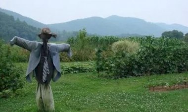 Мистический рассказ про огородное пугало