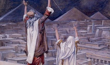 И упала на землю тьма египетская