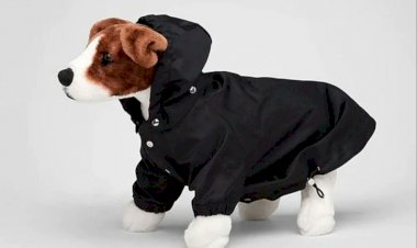 Prada разработала плащ для собак