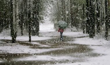 Первый весенний снег)