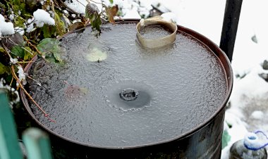 Можно ли использовать талый снег для полива, мытья и питья