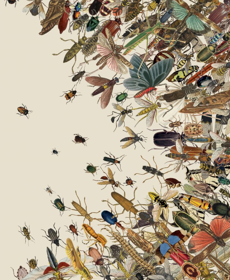 Как насекомые влияют на экосистему и почему их сохранение является важной задачей для всего человечества.