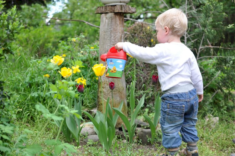 Каким должен быть безопасный и интересный для детей сад – основные требования к растениям