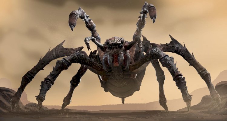 В Австралии обнаружили паука-монстра огромных размеров