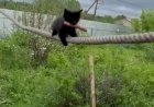 Вот такая она — жизнь