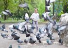 Стыдно за взрослых не понимающих почему нельзя пугать голубей