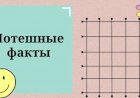 Забавные Факты о Которых Вы Не Знали