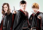 Гарри Поттер перезапускается в 7-сезонный телесериал