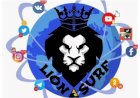 Как поможет LIONSURF продвижению на сайтах, в соцсетях, а также на Pinterest?