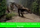 Динозавры которые жили на территории России и почему их было мало