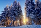 Вот такая красота Зимой. часть 3